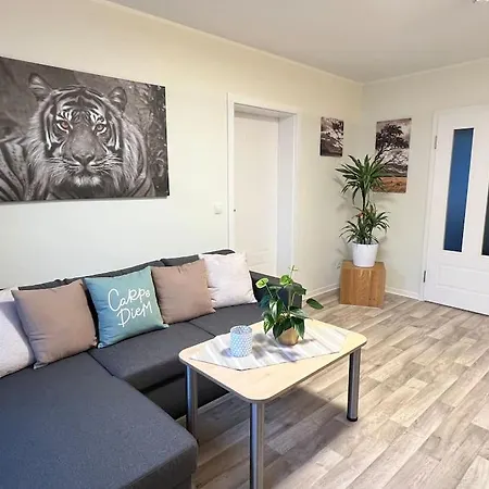 Moderne Stilvolle Gaestewohnung Apartment Werdau