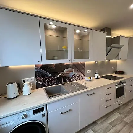 Moderne Stilvolle Gaestewohnung Apartment Werdau
